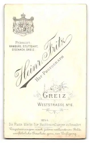 Fotografie H. Fritz, Greiz, Weststrasse 6, Porträt einer Frau mit elegantem Kleid