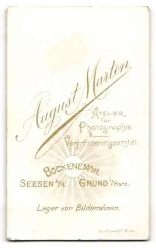 Fotografie August Marten, Bockenem, Porträt eines jungen Mannes