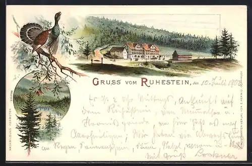 Lithographie Ruhestein, Blick auf Gasthaus und Wildsee mit Auerhahn