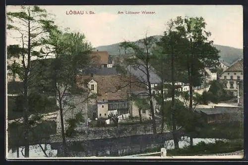 AK Löbau i. Sa., Partie am Löbauer Wasser