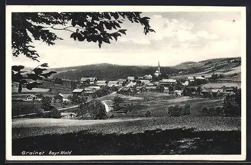 AK Grainet /Bayr. Wald, Teilansicht mit Feldweg