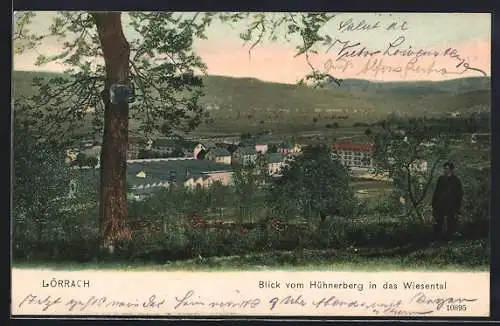 AK Lörrach, Blick vom Hühnerberg in das Wiesental