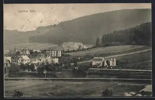 AK Ilmenau / Thüringen, Institut Bolz aus der Vogelschau