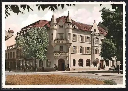 AK Freiburg i. B., Hotel-Restaurant-Weinstube Laubfrosch