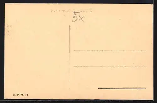 AK Firenze, R. Palazzo Pitti, Parte posteriore