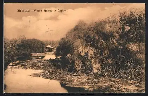 AK Siracusa, Fiume Anapo e Papiro