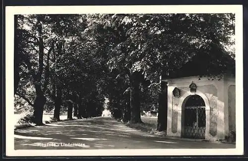 AK Mondsee, Lindenallee und kleine Kapelle