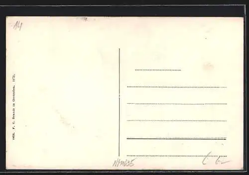 AK Mondsee, Totalansicht aus der Vogelschau