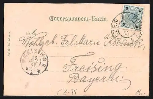 Lithographie Pilsen, Rathaus, K. k. Postamt, Deutsche Turnhalle, Genossenschafts-Brauerei