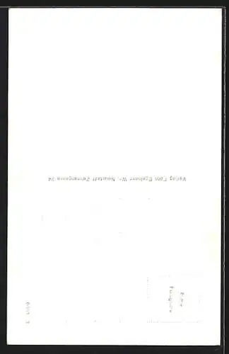 AK Wr. Neustadt, Madonna i. d. Georgskirche