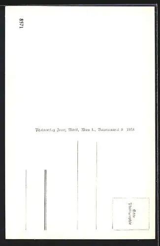 AK Ravelsbach /N. Ö., Ortsansicht vom Berg aus