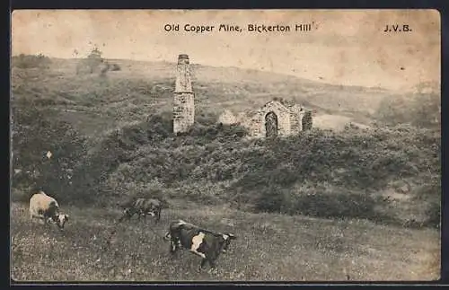 AK Bickerton Hill, Old Copper Mine