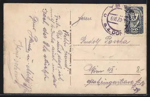AK Ybbs a. d. Donau, N.-Oe., Landes-Pflegeanstalt und Schloss Persenbeug