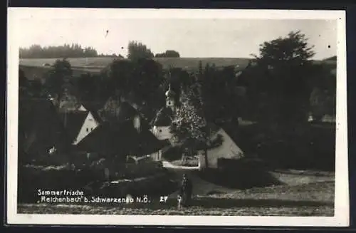 AK Rappottenstein, Reichenbach b. Schwarzenau, Teilansicht mit Blick zur Kirche