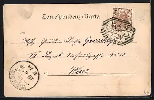 AK Mödling-Brühl, Ortsansicht aus der Vogelschau