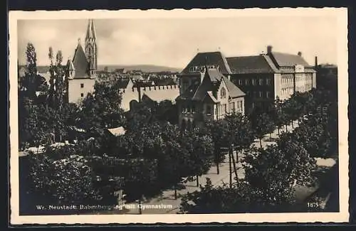 AK Wr. Neustadt, Babenbergring mit Gymnasium