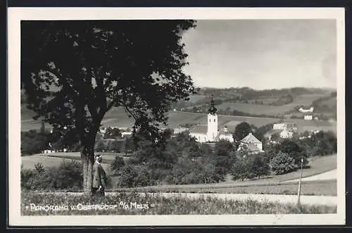 AK Oberndorf a. d. Melk, Panorama vom Berg aus