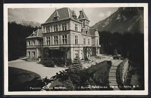 AK Reichenau, Pension Schloss Wartholz mit Terrasse