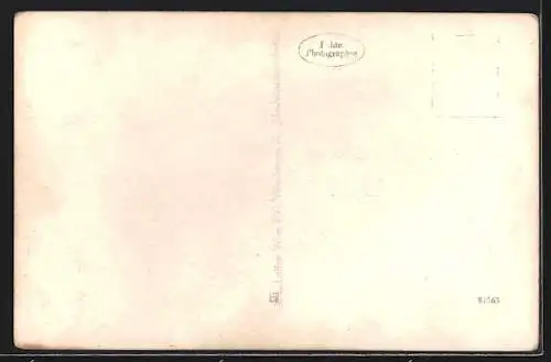 AK Rappoltenkirchen /N.-Ö., Teilansicht mit Kirche