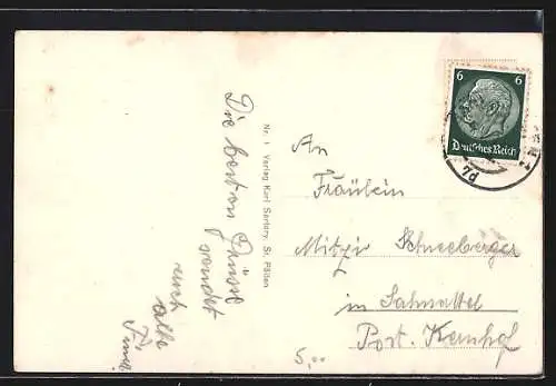 AK St. Pölten, Blick über die Dächer, Frau in Tracht