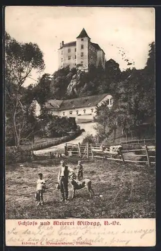 AK Sittendorf /N.-Oe., Wildegg, Schloss und Meierei, Blick von Wiese mit Kühen hinauf zum Schloss