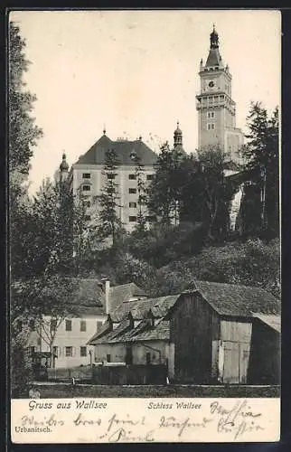 AK Wallsee a. d. Donau, Schloss Wallsee