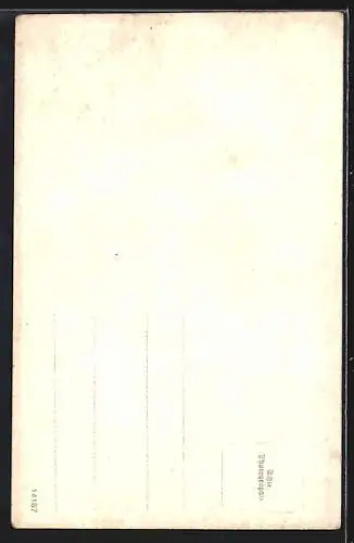 AK Fischamend /N.D., Blick auf das Stadttor