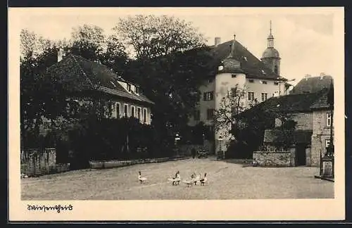 AK Wiesentheid, Gänse auf der Strasse unterwegs