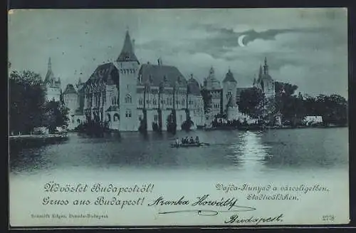 Mondschein-AK Budapest, Stadtwäldchen