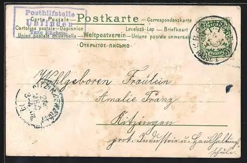 Präge-AK Kleeblatt mit Spinne im Netz und Vergissmeinnicht