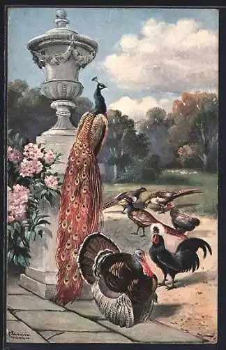 Künstler-AK Alfred Schönian: Pfau und Puter spazieren in der Parkanlage