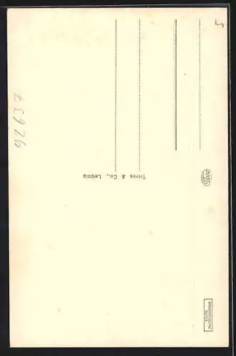 AK Weiden /Opf., Strasse aus der Vogelschau