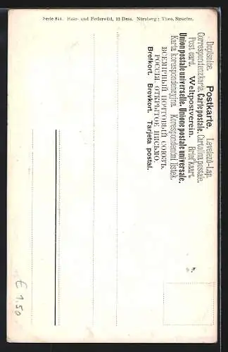 Künstler-AK M.Müller jun.: Röhrender Hirsch