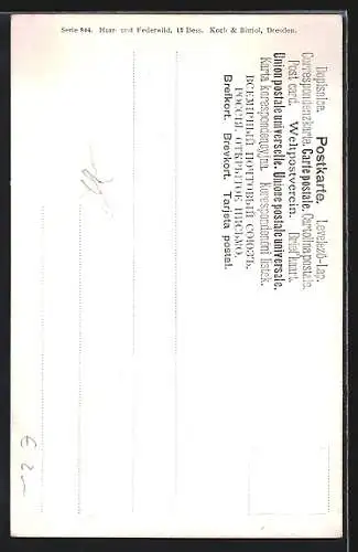 Künstler-AK M.Müller jun.: Röhrender Hirsch