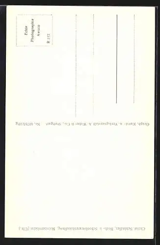 AK Mainbernheim, Brunnen u. unteres Tor