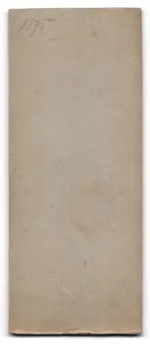 Fotografie G. Uhlemann, Bremerhaven, Fährstrasse 5, Portrait einer eleganten Dame