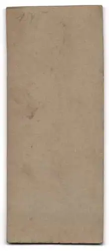 Fotografie G. Uhlemann, Bremerhaven, Fährstr. 5, Porträt einer Dame im eleganten Kleid