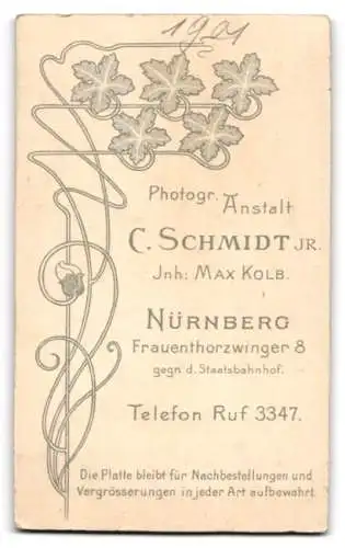 Fotografie C. Schmidt jr., Nürnberg, Frauenthorzwinger 8, Kind in weissem Kleid