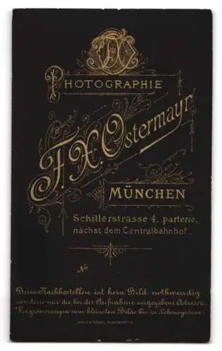 Fotografie F.X. Ostermayr, München, Schillerstr. 4, Porträt einer Frau mit Sternbrosche