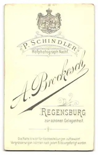 Fotografie P. Schindler, Regensburg, zur schönen Gelegenheit, Frau in eleganter Kleidung