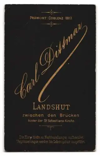 Fotografie Carl Dittmar, Landshut, zwischen den Brücken, Porträt einer Frau in eleganter Kleidung