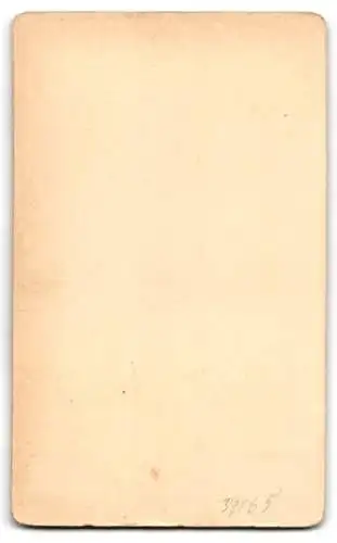 Fotografie Theodor List, Schärding-Obernberg, Porträt einer Frau mit Fächer