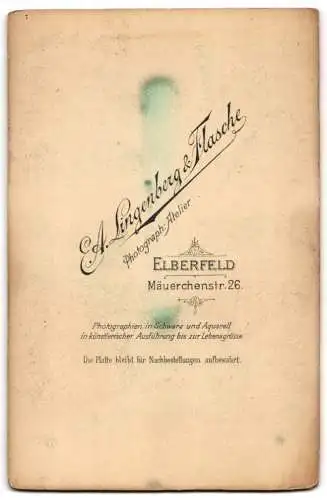 Fotografie E.A. Lingenberg &amp Flasche, Elberfeld, Mäuerchenstr. 26, Familienporträt mit zwei Kindern