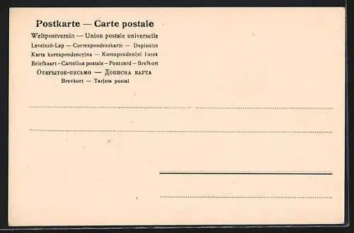 AK Freiburg i. B., Teilansicht mit Kirche vom Schlossberg