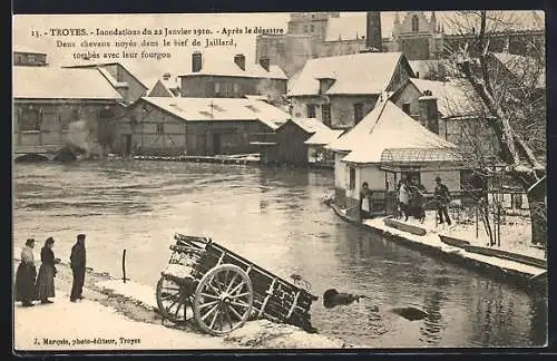 AK Troyes, Inondations 1910, Après le désastre, Deux chevaux noyés dans le bief de Jaillard