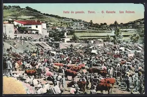 AK Las Palmas /Gran Canaria, Feria de ganado