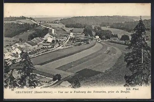 AK Chaumont, Vue sur le Faubourg des Tanneries prise du Donjon