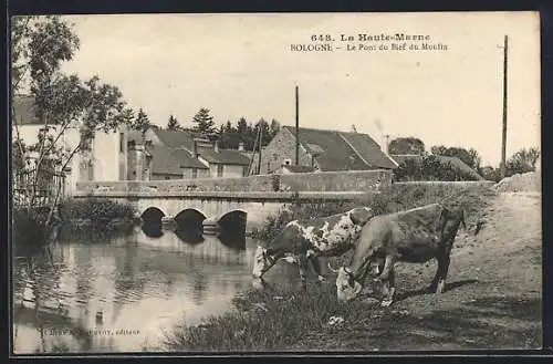 AK Bologne, Le Pont du Bief du Moulin et vaches au bord de l`eau