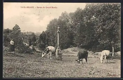 AK Fayl-Billot, Revers du Grand Moulin avec vaches au pâturage
