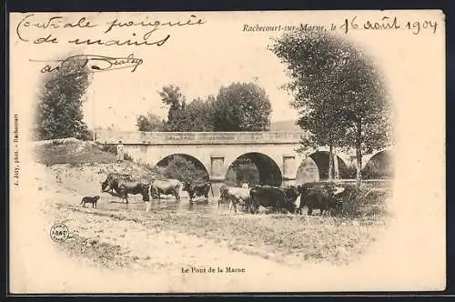 AK Rachecourt-sur-Marne, Le Pont de la Marne avec troupeau et chien en avant-plan